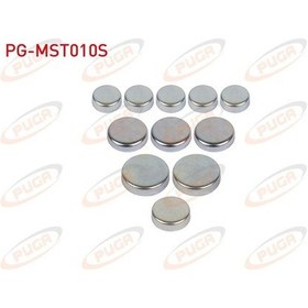 Resim Puga-pg-mst010s - Motor Su Blok Tapası Takım Hyundaı H-100 