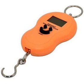 Resim Portable Taşınabilir Elektronik Dijital Hassas Terazi 