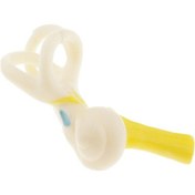 Resim Suntek Büyütme 5x İnsan Kulak Yarım Daire Kanal Koklear 