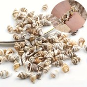 Resim 40g Paket Başına Delikli Deniz Kabuğu Zebra Salyangoz Kabukları - DIY Takı Yapımı, Okyanus Temalı Düğünler, Ev Dekoru ve Akvaryum Vazo Dolgusu için Doğal Reçine Boncuklar - Çeşitli Renkler & Desenler, Güç Gerektirmez, Takı Yapımı İçin Kabuk Boncuklar, Düğün Süslemeleri, Zebra Kabuk Deseni, Dokulu Yüzey 