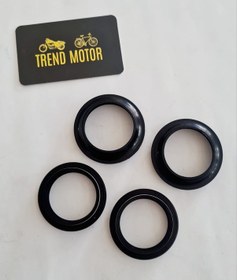 Resim Ön Amortisör Keçe + Toz Keçe Takım - Bajaj Pulsar Ns200 Rs200 Oem 