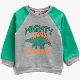 Resim Erkek Bebek Dinozor Baskılı Sweatshirt Bisiklet Yaka 