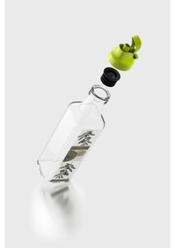 Resim Renga Oslo Desenli 250 Ml Yeşil Kapaklı Cam Yağlık 152005 Yeşil 