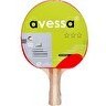 Resim Avessa RAK 300 Masa Tenisi Raketi 