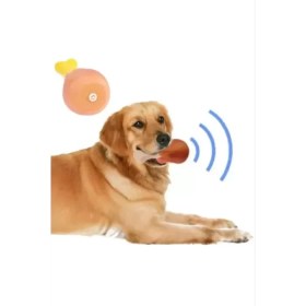 Resim Köpekler İçin Sesli Oyuncak Tavuk Butu 