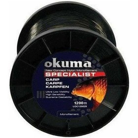 Resim Okuma Carp 1200m 17,00 LB 7.73kg 0,34mm Camou Misina 
