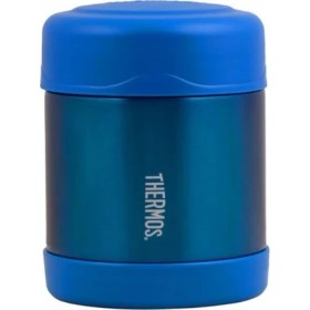 Resim Delixa Thermos F300 Funtainer Ss 0.29 Lt Çocuk Yemek Termosu 