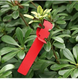 Resim Sones 100 Adet Bahçe Bitkisi Fidan Tohumu Asma Ağaç Etiketi Kırmızı 