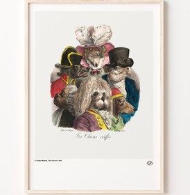 Resim Tüylü Köpekler, Poster 