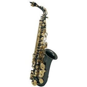 Resim Roy Benson AS-202K Alto Saksafon 