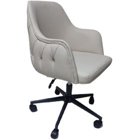 Resim Bilgisayar ve Çalışma Koltuğu Krem Suni Deri Krom Yıldız Ayaklı 