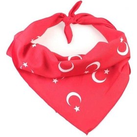 Resim Herşey Nota Kırmızı Ay Yıldız Türk Bayrağı Temalı Pamuk Kumaş Ful Çok Renkli 