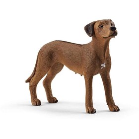 Resim Schleich Rodezya Ridgeback Köpek 13895 