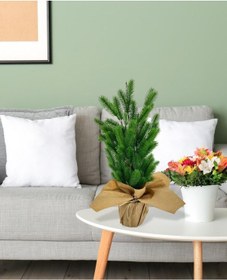 Resim Yılbaşı Ağacı Yapay Çam Ağacı Kraft Saksıda 55cm 