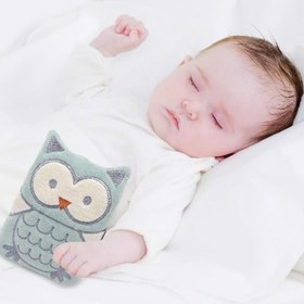 Resim Babyjem Kiraz Çekirdekli Baykuş Gaz Yastığı - Beyaz - Beyaz / Standart 