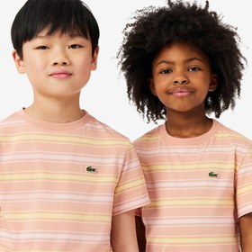 Resim Lacoste Çocuk Bisiklet Yaka Çizgili Kahverengi T-Shirt 