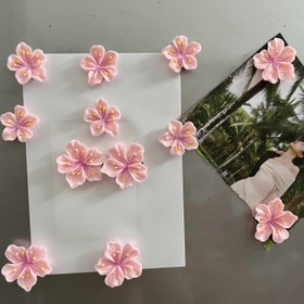 Resim 12 Adet Pembe Kiraz Çiçeği Mıknatıslar - Buzdolabı, Beyaz Tahta, Depolama Dolapları & Bulaşık Makineleri için Sevimli Dekoratif ABS Mıknatıslar - Mükemmel Mutfak & Ofis Dekoru, Sevgililer Günü Hediyesi, Sevgililer Günü için Hediye | Dekoratif Mıknatıslar | Sanatsal Tasarım, Buzdolabı Mıknatısları 