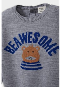 Resim Defacto Erkek Bebek Bisiklet Yaka Ayı Baskılı Kazak F2584a525augr396 Gri 