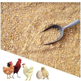 Resim Narım 10 Kg Proteinli Özel Tavuk Besi Ve Yumurta Yemi 