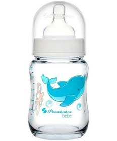 Resim Paşabahçe Borcam Emzikli Cam Biberon 120 ML(Desenli) 