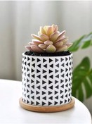 Resim Scandıtouch Sukulentler Ve Kaktüsler İçin Seramik Saksı 247753552 