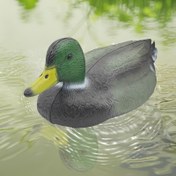 Resim Simüle Plastik Yüzen Erkek Ördek / Dişi Ördek 