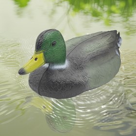 Resim Simüle Plastik Yüzen Erkek Ördek / Dişi Ördek 