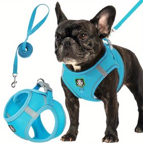 Resim 601 Küçük ve Orta Köpek Yürüyüş Kama + Erkek Seti 2 Adet, Pil Olmadan 