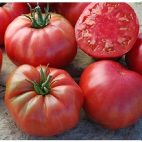 Resim Köy Domatesi Yetiştirme Seti 150-200 Tohum, Saksı, Toprak Karış 