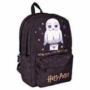 Resim Harry Potter Hedwig Okul Çantası 2578 