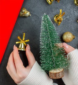 Resim Ahşap Zeminli Mini Çam Ağacı 