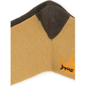 Resim U.s. Polo Assn. Erkek Çocuk Petrol Çorap (Soket) 50318056-VR151 