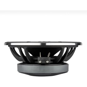 Resim Arnold AP-M81AC 20CM 600W 300RMS Spl Midrange Profeyonel Midrange Iki Adet 