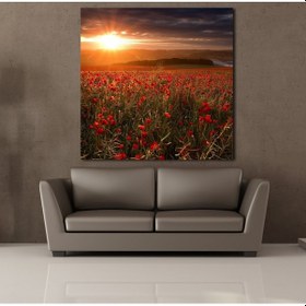 Resim Çiçek Tarlası Kanvas Tablo 200x200cm 