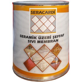 Resim Skygo Seracardi Seramik Üzeri Şeffaf İzolasyon 1 Kg 