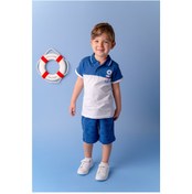 Resim Zeyland Erkek Bebek Mavi Renk Bloklu Polo Yaka T-Shirt (9Ay-4Yaş) 