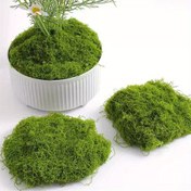 Resim Yapay Bitki Yosun 30g - Parlak Yeşil Plastik Çim DIY El Sanatları, Ev Dekoru, Mini Peyzajlar ve Düğün Dekorasyonları için 
