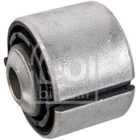 Resim FEBI 177095 Dingil Burcu Arka 