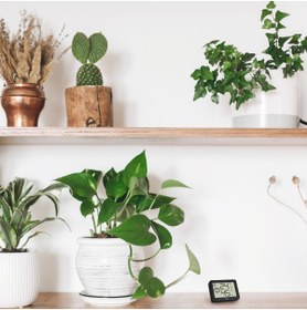 Resim TFA Dostmann Dijital Termo-higrometre Nem Ve Sıcaklık Ölçer 30.5055 