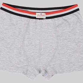 Resim Ceylanoğlu 12'li Gri Erkek Çocuk Likralı Sade Boxer-343-1 Gri 