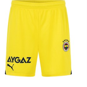 Resim Fenerbahçe S.K. 23/24 Erkek Şort 