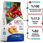 Resim Carni Life Cranberry Ancestral Grain Fish & Orange Mini Yavru Köpek Maması 2500 G 