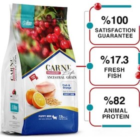 Resim Carni Life Cranberry Ancestral Grain Fish & Orange Mini Yavru Köpek Maması 2500 G 