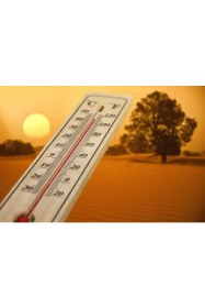 Resim BSSM Ahşap Oda Sıcaklığı Sıcaklık Ölçümü Termometresi Küçük Boy 