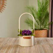 Resim KPM Dekoratif Metal Saksı - Bej - 15 cm 