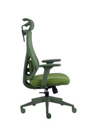 Resim Rio Ergonomik Çalışma Koltuğu Yeşil 