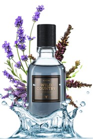 Resim Avon Full Speed Ve Wild Country Freedom Erkek Parfüm Paketi 