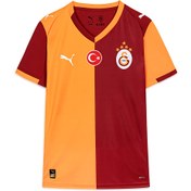 Resim GALATASARAY 25/26 Erkek İç Saha Forması 