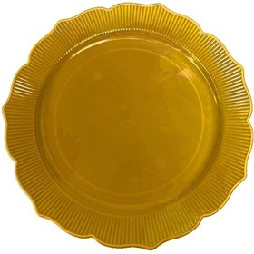 Resim Dayanıklı Mika Plastik Tabak - Tek Kullanımlık, Şık Ve Hijyenik Sunum - Altın - 6 Adetlik Paket 