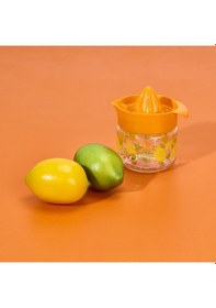 Resim Fresia Desenli Limonluk - Asorti - 300 Ml Renkli 